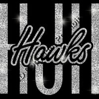 GLT95 SILVER GLITTER Thumbnail